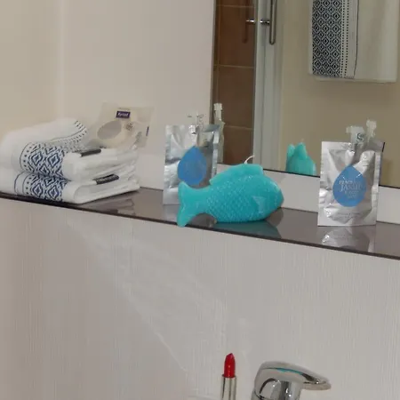 基里亚德图卢兹布拉南机场酒店 3*