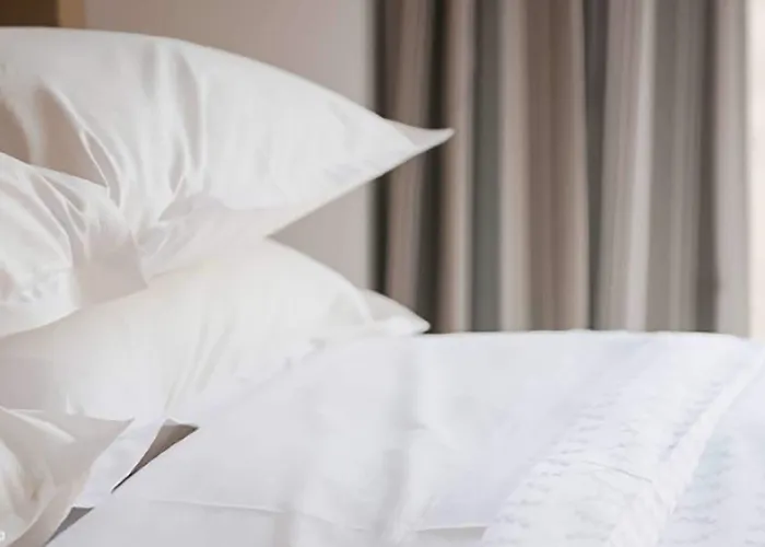 キリアド トゥールーズ アエロポール 3*